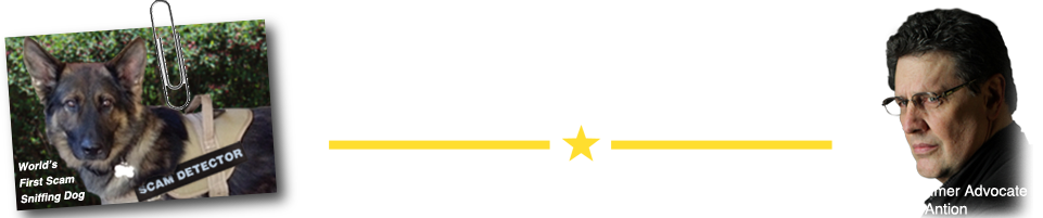 Scam Brigade